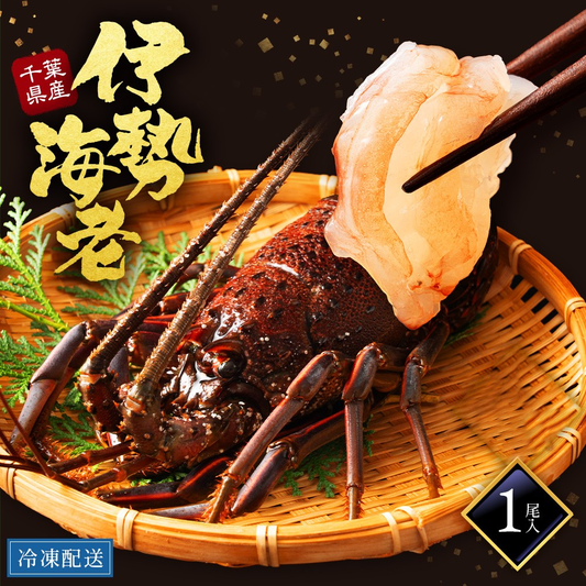 伊勢海老 千葉県産 活〆生冷凍 天然 1尾