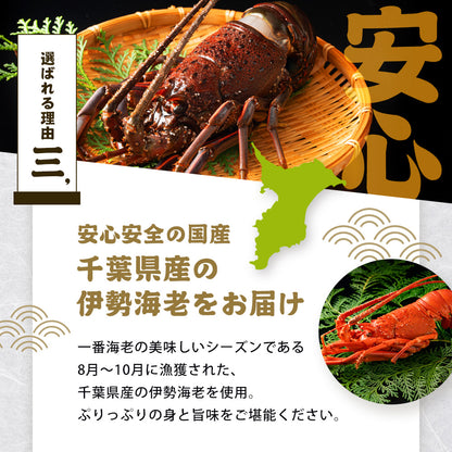 伊勢海老 千葉県産 活〆生冷凍 天然 1尾
