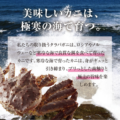 ボイルタラバガニ 1肩入