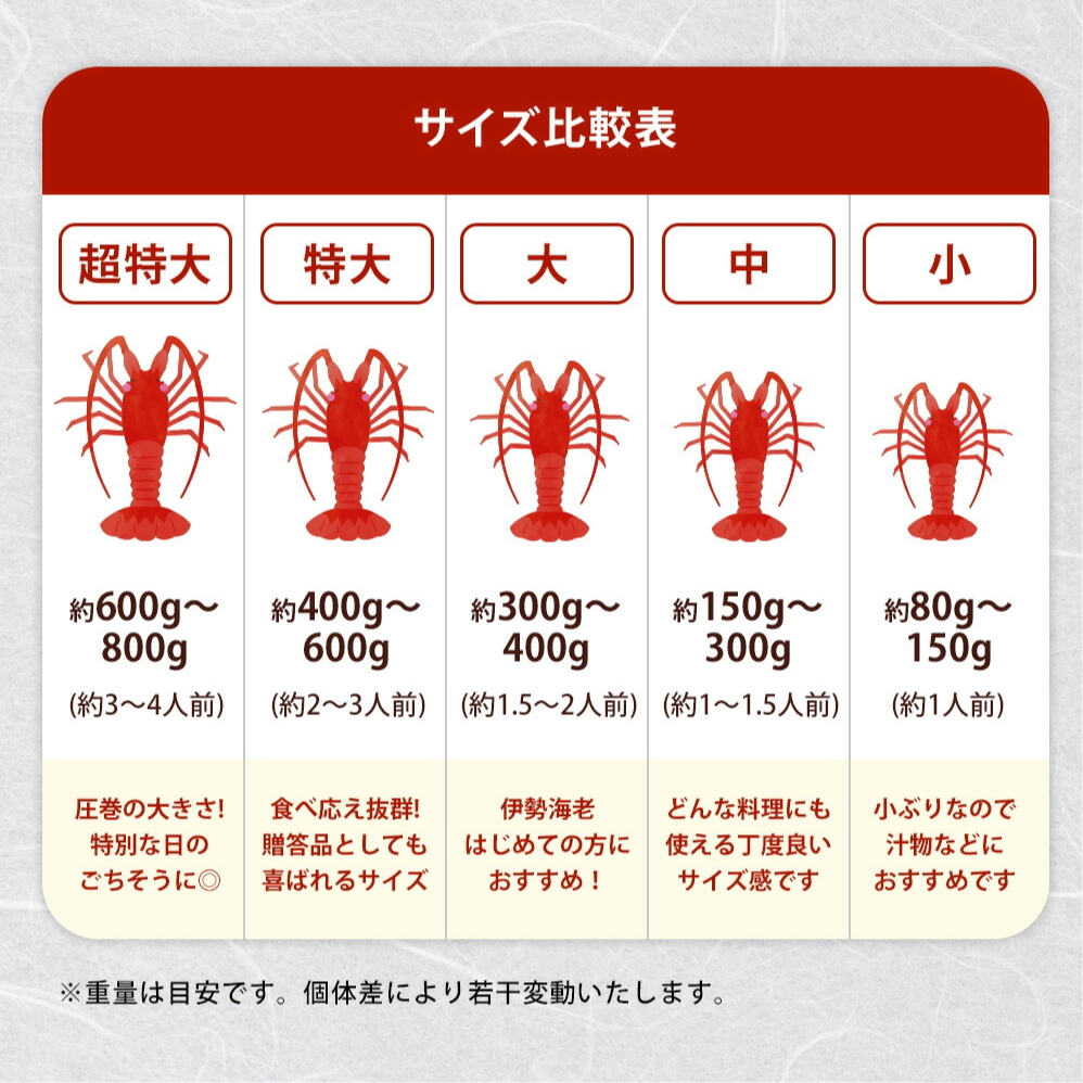 伊勢海老 千葉県産 活〆生冷凍 天然 1尾