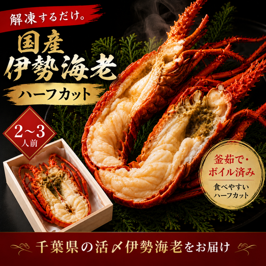 伊勢海老 ボイル ハーフカット 千葉県産 1尾 500g