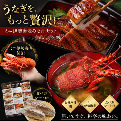 国産うなぎ蒲焼 鹿児島県産