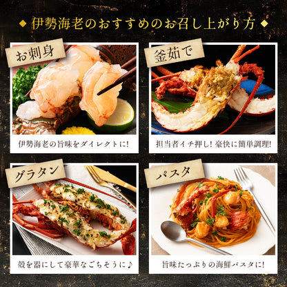伊勢海老 千葉県産 活〆生冷凍 天然 1尾