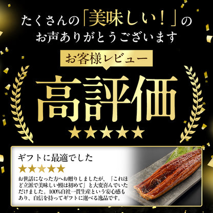 国産うなぎ蒲焼 鹿児島県産
