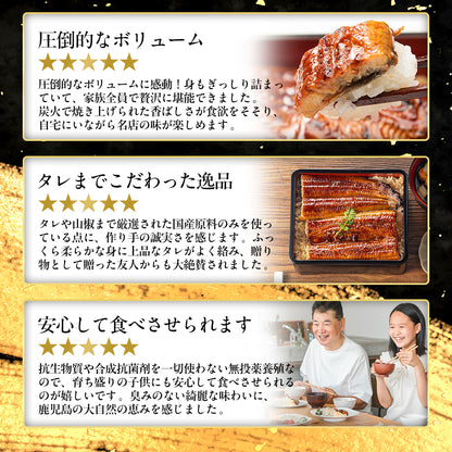 国産うなぎ蒲焼 鹿児島県産