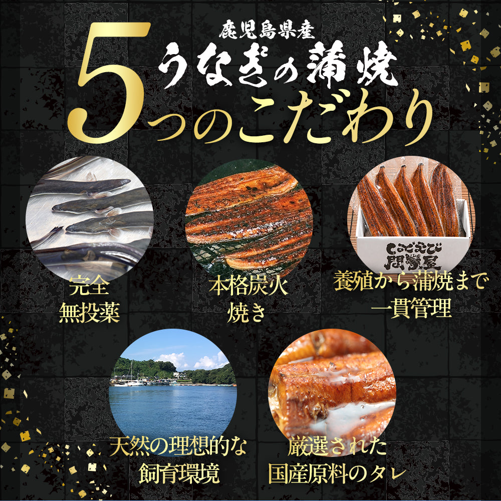 国産うなぎ蒲焼 鹿児島県産