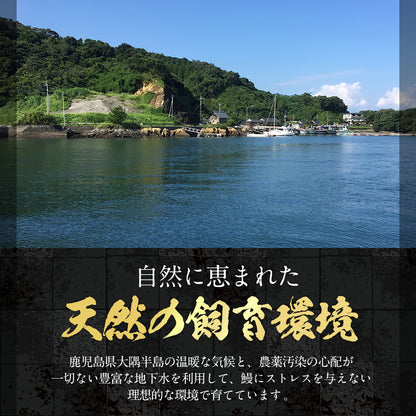 国産うなぎ蒲焼 鹿児島県産