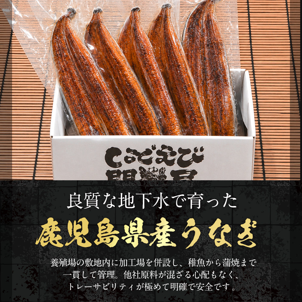 国産うなぎ蒲焼 鹿児島県産