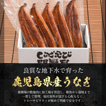 国産うなぎ蒲焼 鹿児島県産