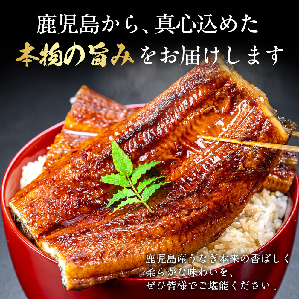 国産うなぎ蒲焼 鹿児島県産
