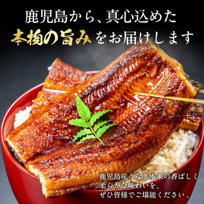 国産うなぎ蒲焼 鹿児島県産
