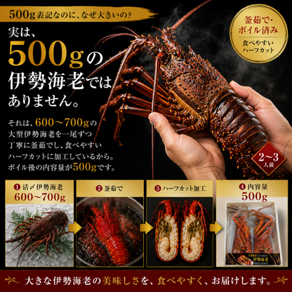 伊勢海老 ボイル ハーフカット 千葉県産 1尾 500g